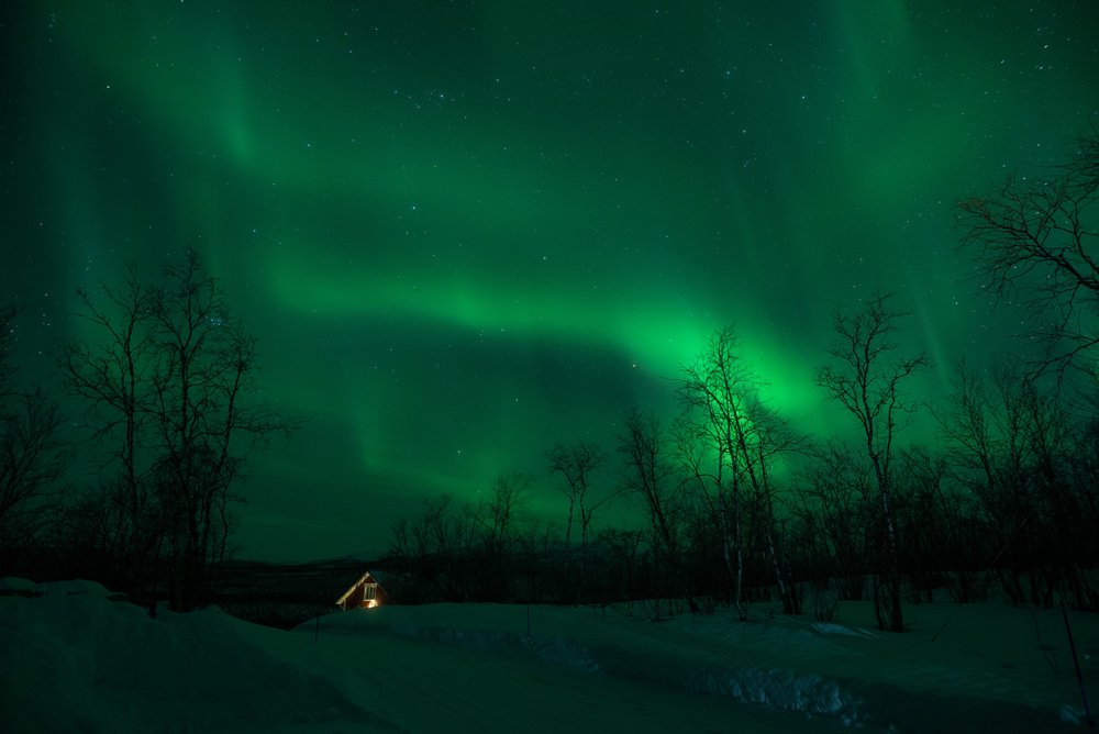 Nordlichter Tour in Tromsö in Norwegen im Winter