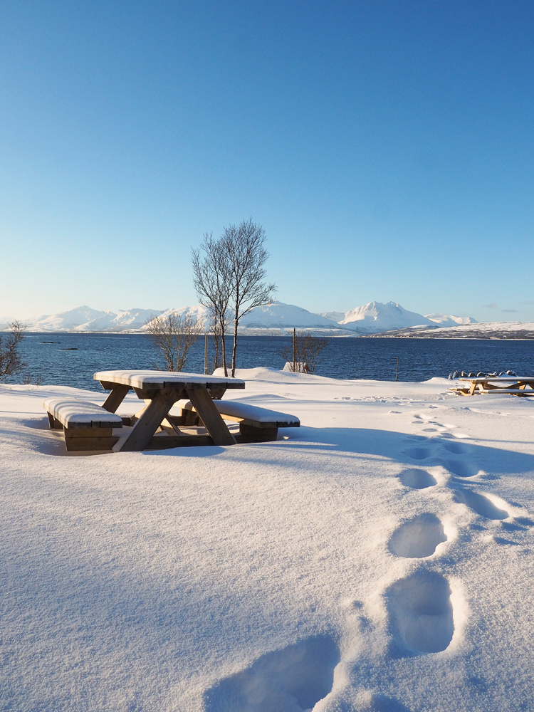 Eingeschneite Bank im verschneiten Park Folkeparken außerhalb von Tromsö im Winter