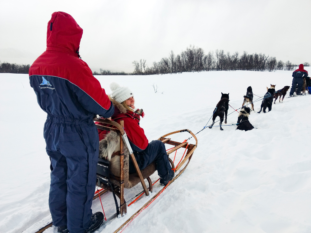 Hundeschlittentour in Tromsö im Winter durch die verschneite Landschaft