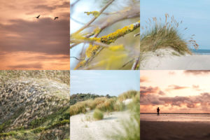 Viele Urlaubs-Bilder organisieren und verwalten