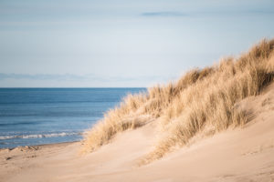 Dünen am Meer auf Texel