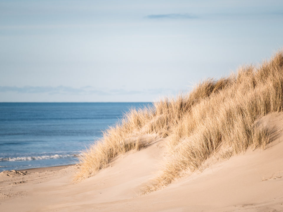 Dünen am Meer auf Texel