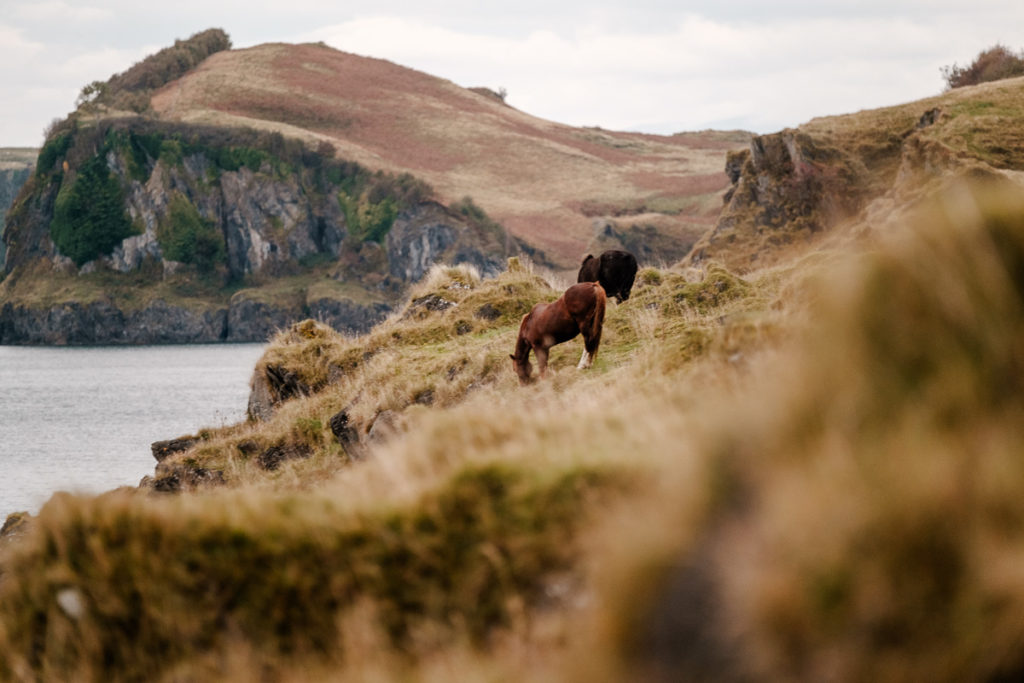 Ruhige Auszeit in Schottland: Landschaft zum Sonnenuntergang beim Castel Coeffin auf der Isle of Lismore in Schottland