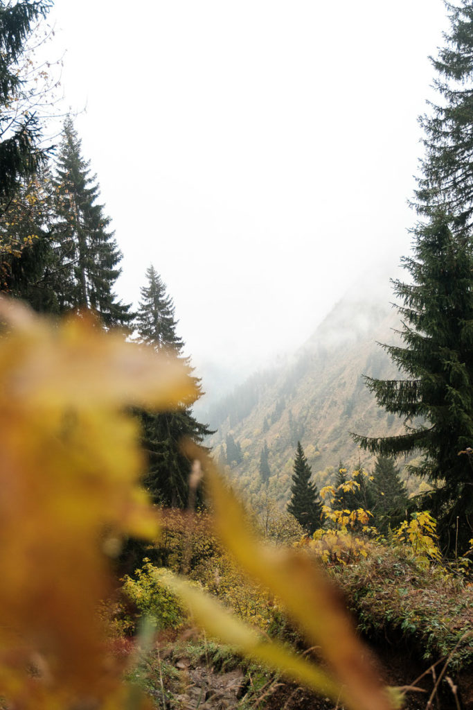 Naturverbunden Herbstwanderung durchs Duratal bei Baad im Kleinwalsertal.