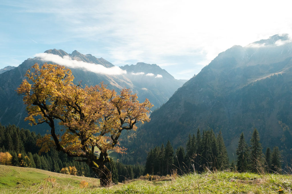 Aussicht während einer Wanderung vom Walmendingerhorn im herbstlichen Kleinwalsertal bei Sonne und farbenfroher Landschaft.