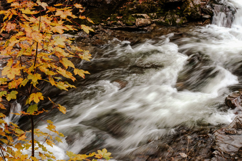 Die Breitach bei einer herbstlichen Wanderung im Kleinwalsertal - begleitet von Wasserrauschen und Blätterrascheln.