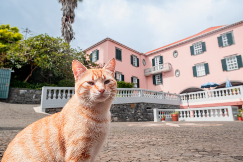 Boutique Hotel auf Madeira für alleinreisende Frauen