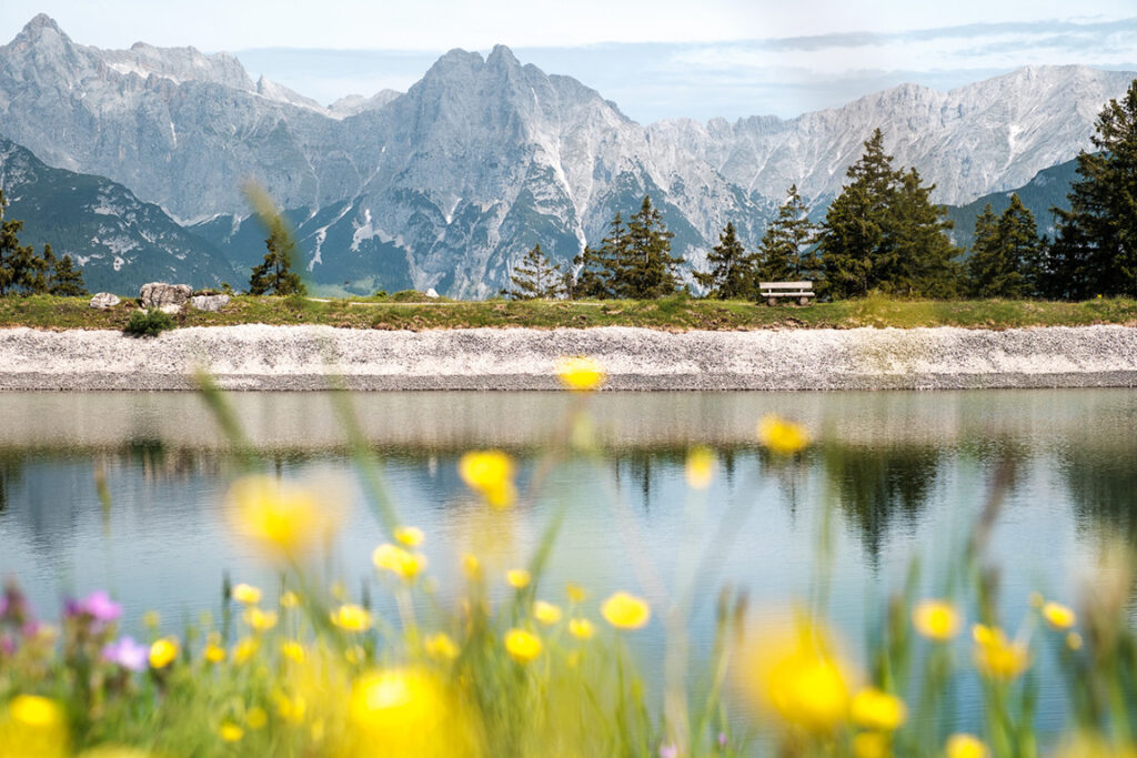 Kaltwassersee mit Bergpanorama und Blumenwiese oberhalb von Seefeld in Tirol