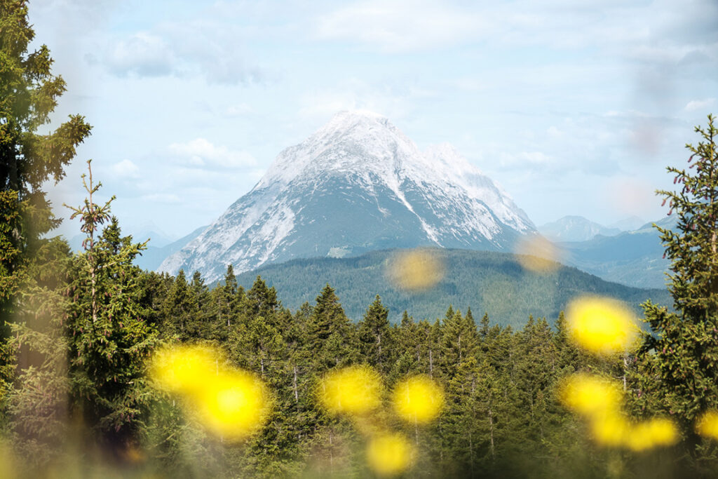 Blick auf die Alpen beim Wandern in Seefeld in Tirol mit grünen Wiesen und Bergen im Hintergrund