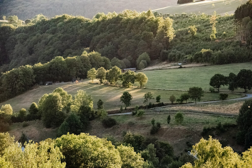 Blick über die grüne Hügellandschaft rund um Olsberg im Sauerland