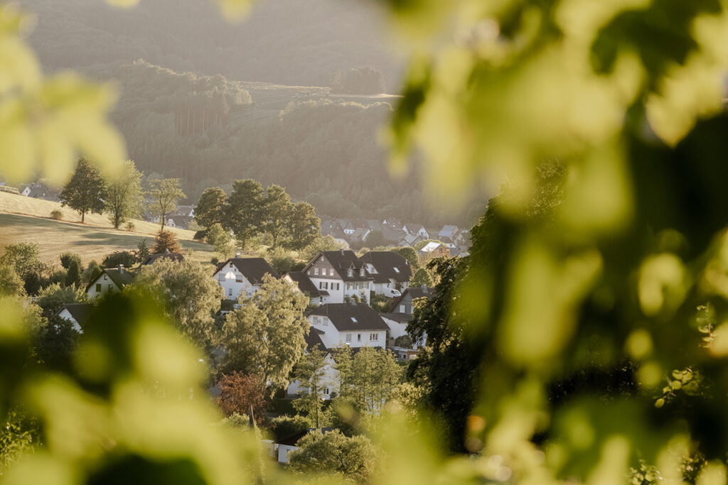 Blick durch grüne Blätter auf Elleringhausen bei Olsberg