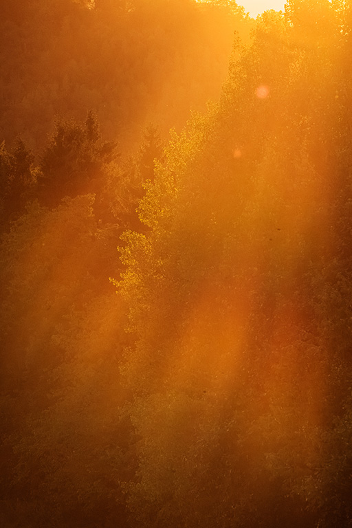 Warme Sonnenstrahlen fallen über einen bewaldeten Hang zum Sonnenuntergang im Sauerland